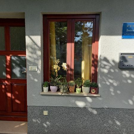Apartman Dani Drazice Dış mekan fotoğraf
